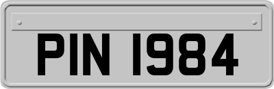 PIN1984