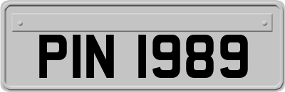 PIN1989
