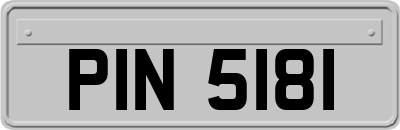 PIN5181