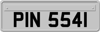 PIN5541