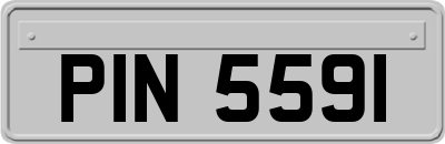 PIN5591