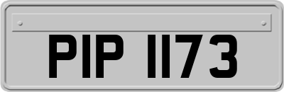 PIP1173
