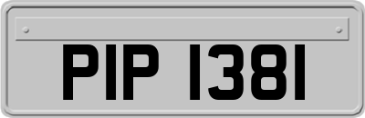 PIP1381
