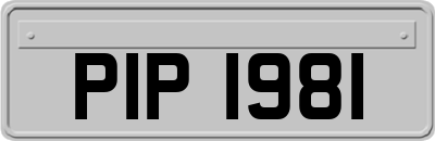 PIP1981