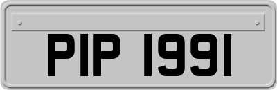 PIP1991