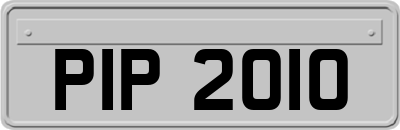 PIP2010