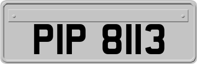 PIP8113