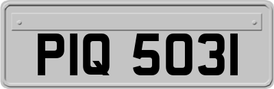 PIQ5031