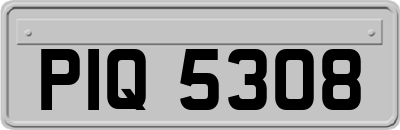 PIQ5308