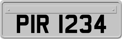 PIR1234