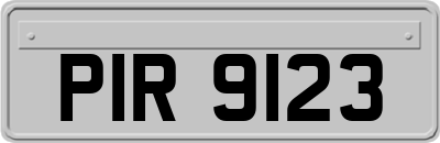 PIR9123