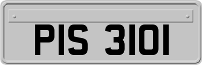 PIS3101