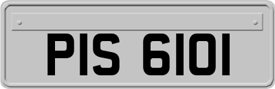 PIS6101