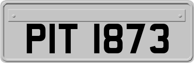 PIT1873