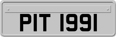 PIT1991