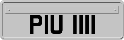 PIU1111