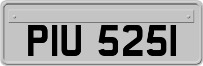 PIU5251