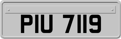 PIU7119