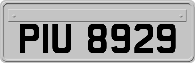 PIU8929