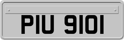 PIU9101