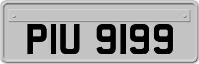 PIU9199