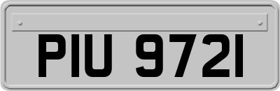 PIU9721