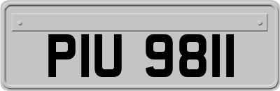PIU9811