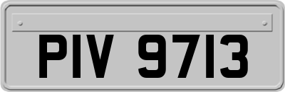 PIV9713