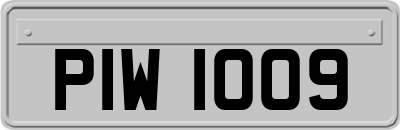 PIW1009