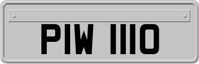 PIW1110