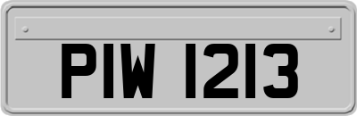 PIW1213