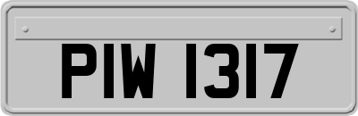 PIW1317