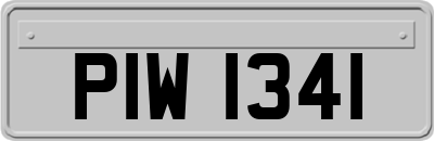 PIW1341