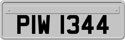 PIW1344