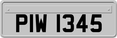 PIW1345