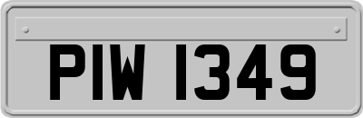 PIW1349