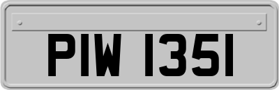 PIW1351