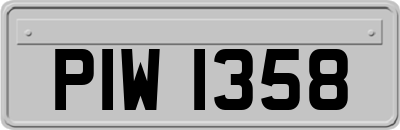 PIW1358