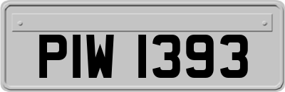 PIW1393