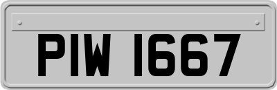 PIW1667