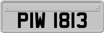 PIW1813