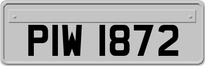 PIW1872