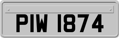 PIW1874