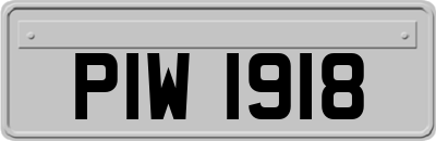 PIW1918