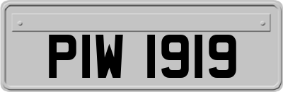 PIW1919