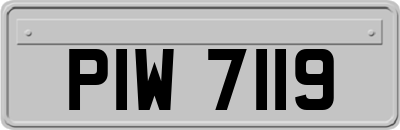 PIW7119