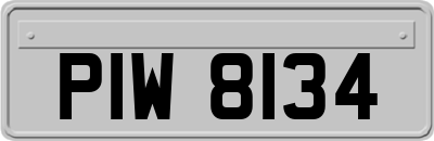 PIW8134