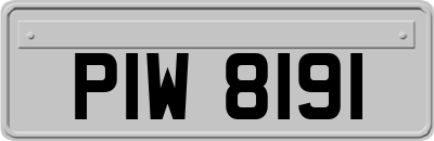 PIW8191