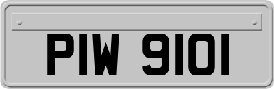 PIW9101