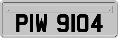 PIW9104